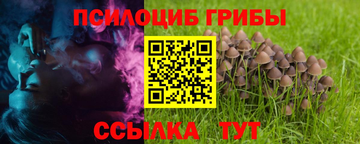 Псилоцибиновые грибы Cubensis Сибай