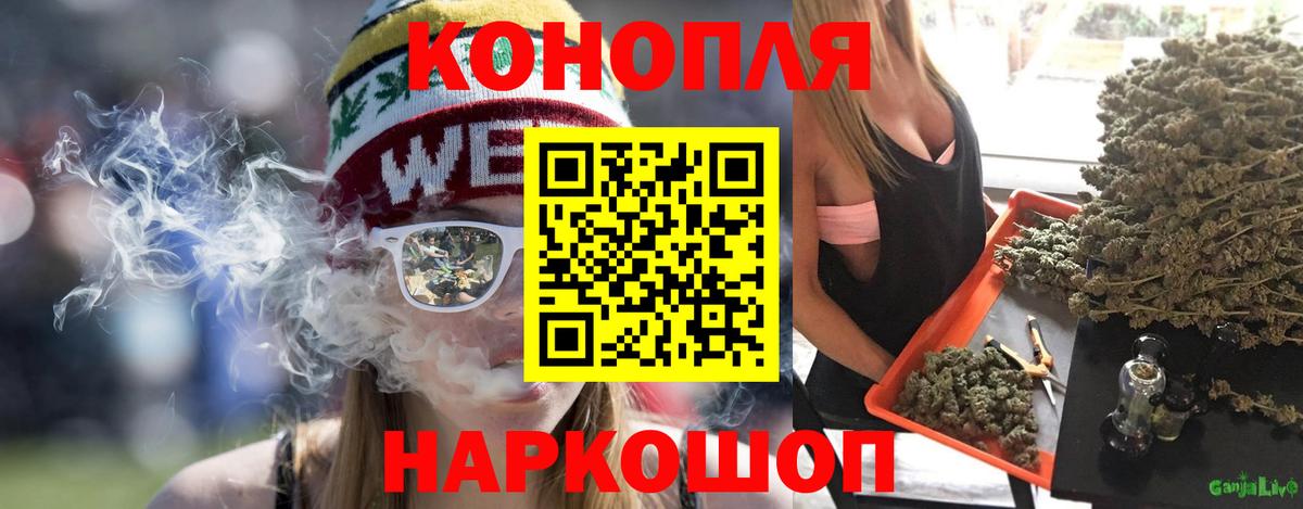 Бошки Шишки семена Сибай
